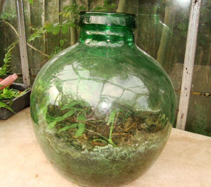 This old terrarium needs some preparing before it can be used