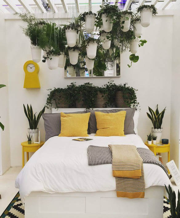Houseplants can be put into bedrooms to help you sleep as well as clean and improve air quality