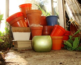 Collection of different plant pots
