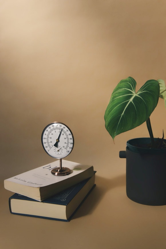 Temperature gague and a houseplant by gryffyn m