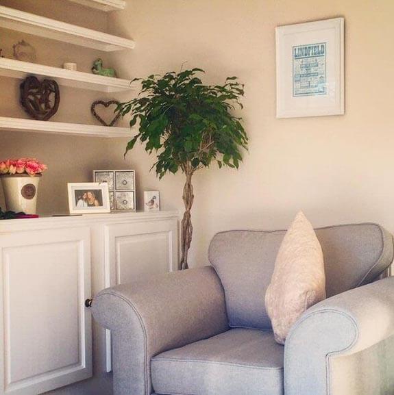A happy mature tree-like Ficus growing in a home
