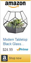 Houseplant terrariums from Amazon.com