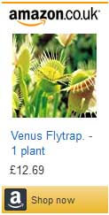 Venus Flytrap for sale on Amazon.co.uk