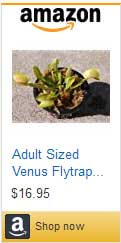 Venus Flytrap for sale on Amazon.com
