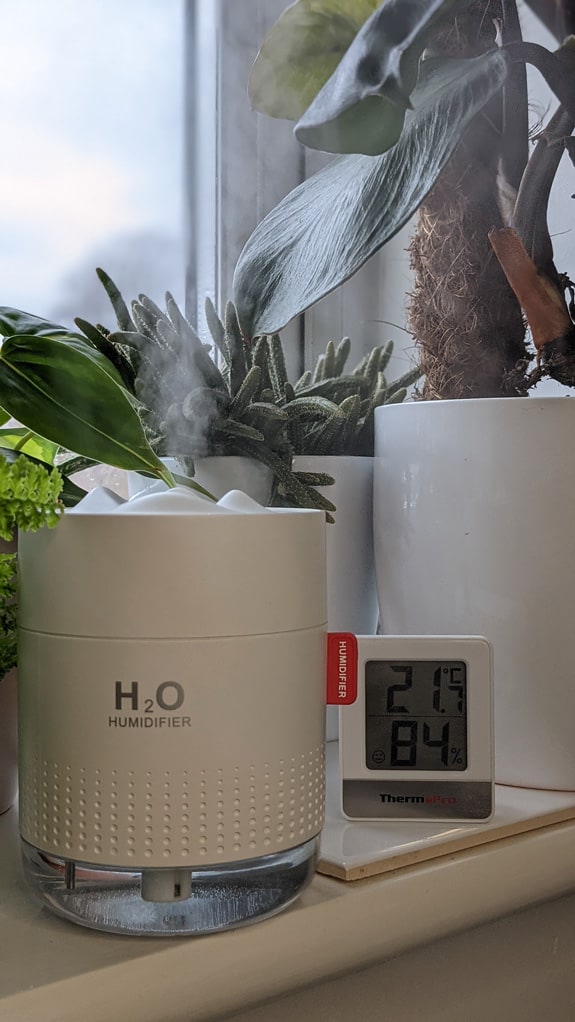 Plants a Hygrometer and a small humidifier giving out a fine mist of water