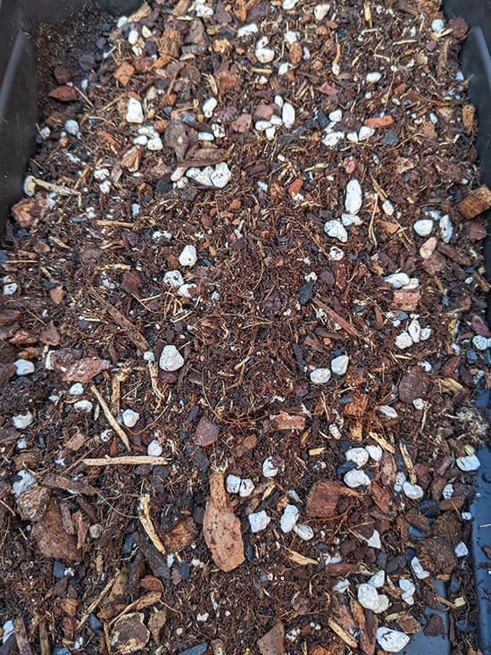 A potting mix containing bark chips, worm castings and perlite, suitable for aroids like the Monstera Albo