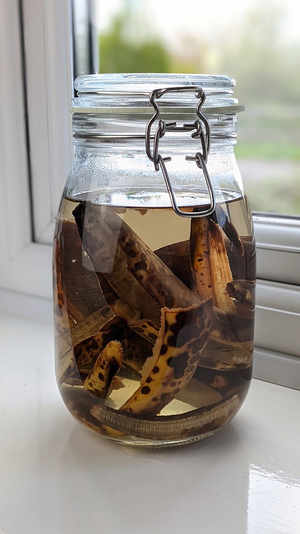 Black Banana Peels in a closed mason jar