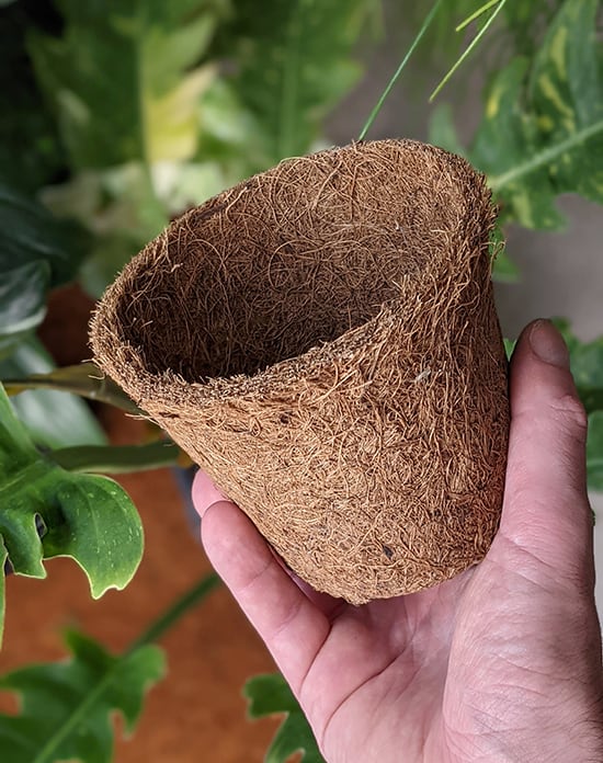 biodegradable plant pot made of coir suitable for houseplants