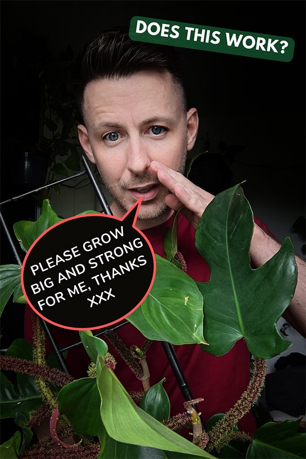Tom Knight pretending to talk to a houseplant