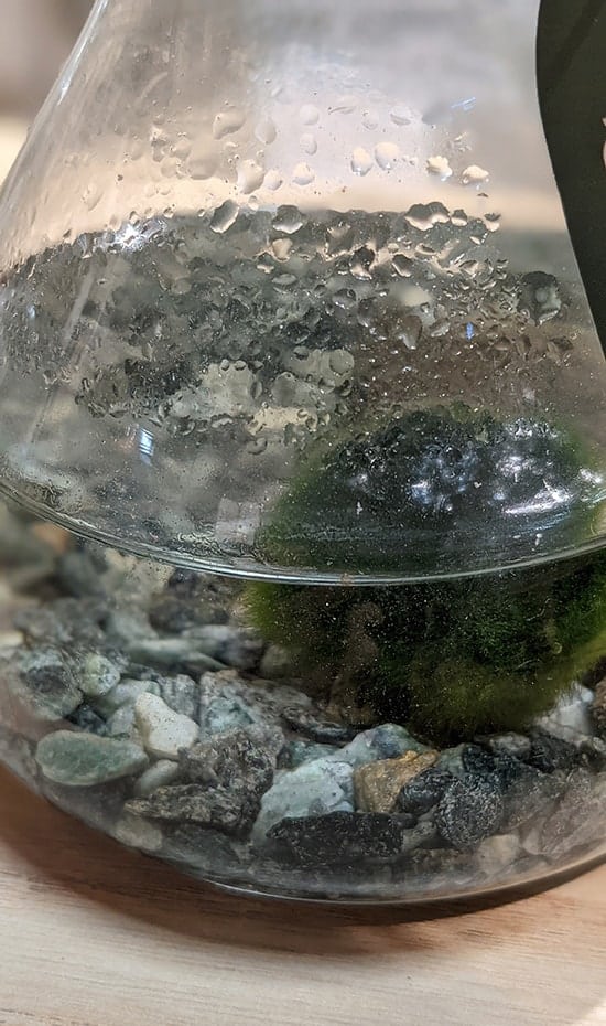 condensation on a glass beaker container