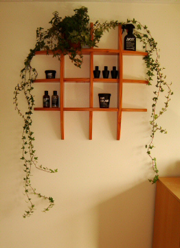 English Ivy clambers over a wooden frame fixed to a wall