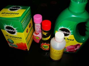 Collection of different houseplant fertilsers