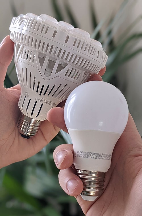 Hands holding a plant light and a normal LED bulb