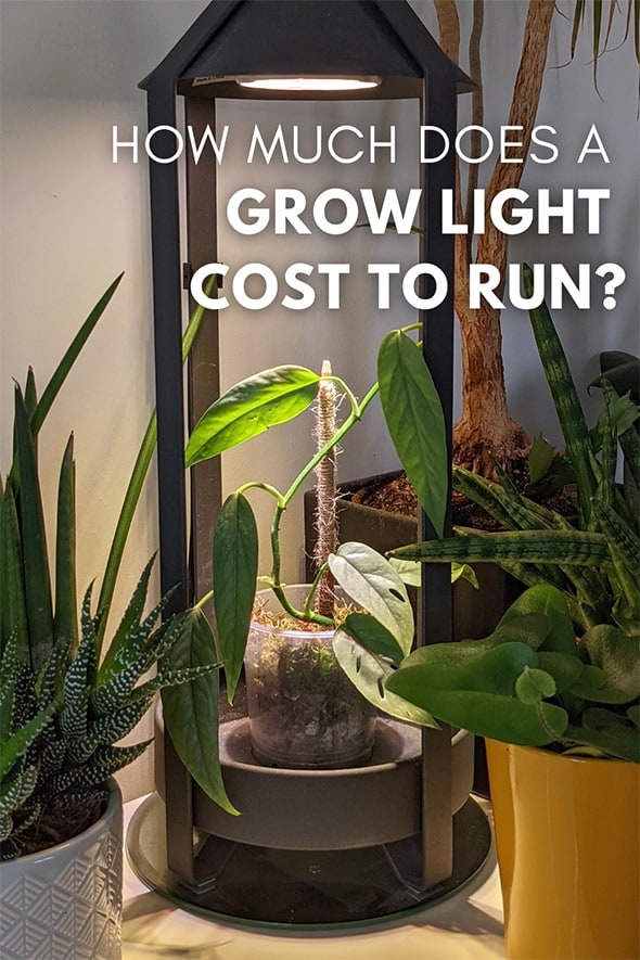 Table lamp light system with houseplants underneath