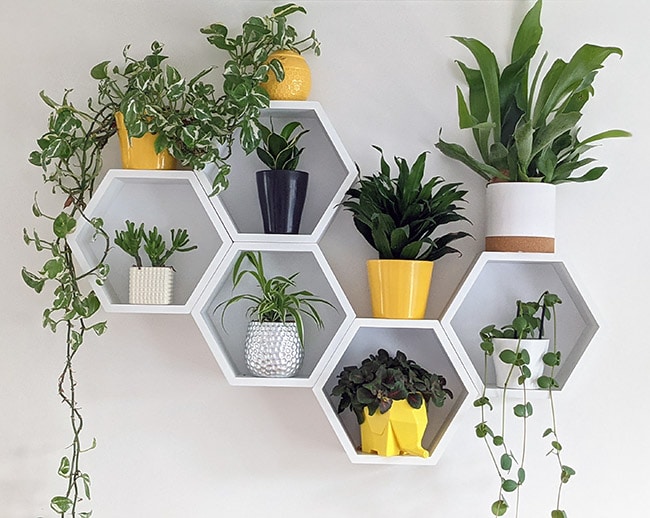 A number of different plants being grown on a hexagon display wall