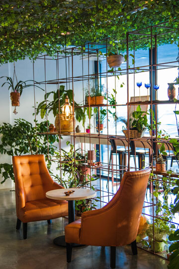 Photo showing houseplants in a hotel lobby as part of its design