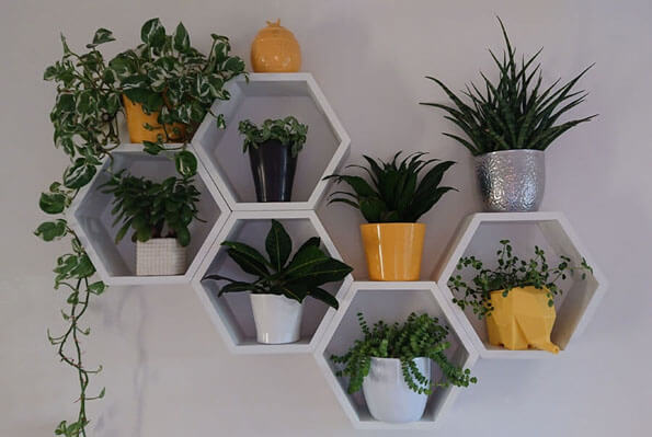 This photo shows five small hexagon shelves which are holding a number of houseplants on a wall