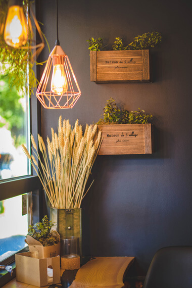 Grow Lights For Beginners Start Plants Indoors The Foodie Gardener