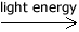 Light Energy Graph for Photosynthesis