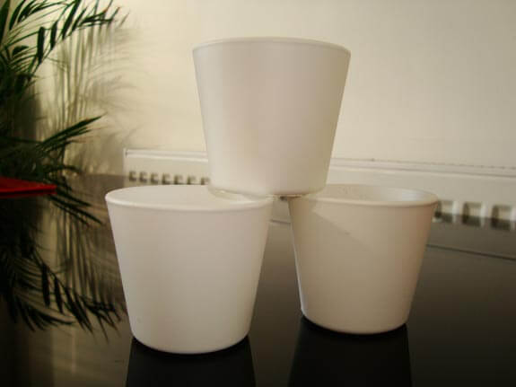 Small clean white plant pots enhance and add to the modern look we want
