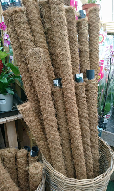 Moss poles in a basket for sale