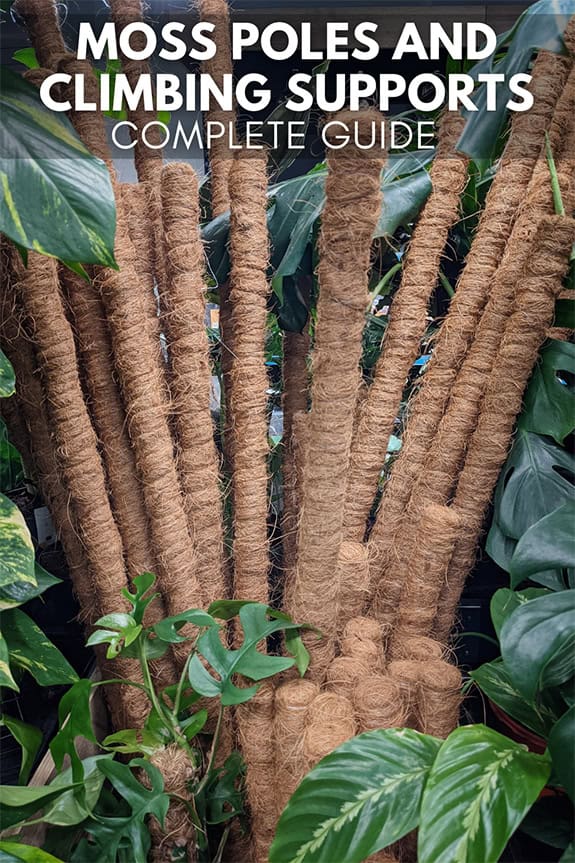 Large number of moss poles stacked together in a shop, surrounded by houseplants, waiting to be sold