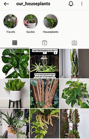 ourhouseplants instagram grid screenshot