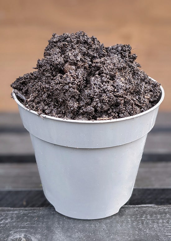 Peat Moss piled high in a grey plastic plant container