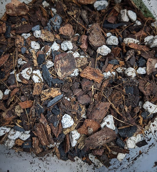 A free draining potting mix made up of bark, perlite and coir