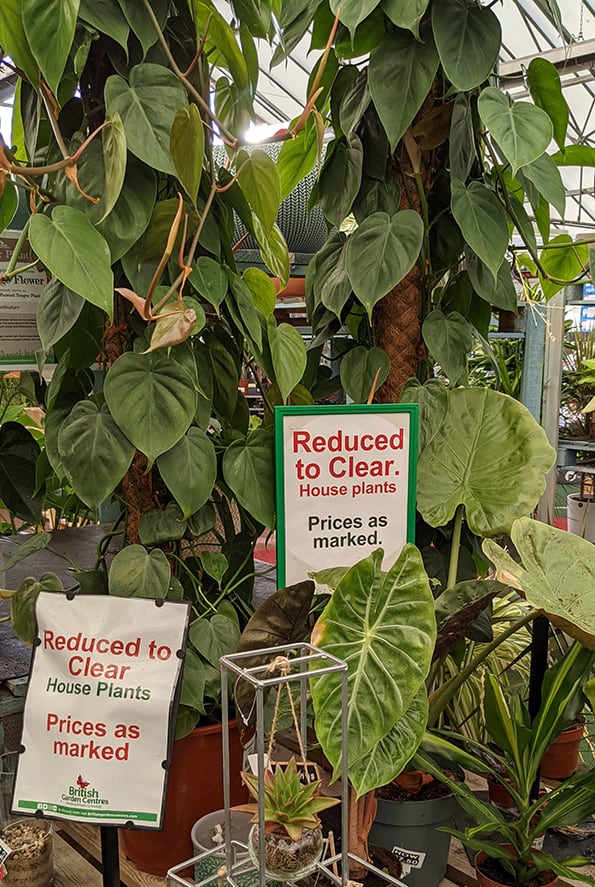Houseplants in a plant store next to a sign that says reduced to clear