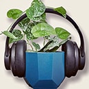 Satin Pothos with headphones