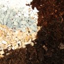 Compost