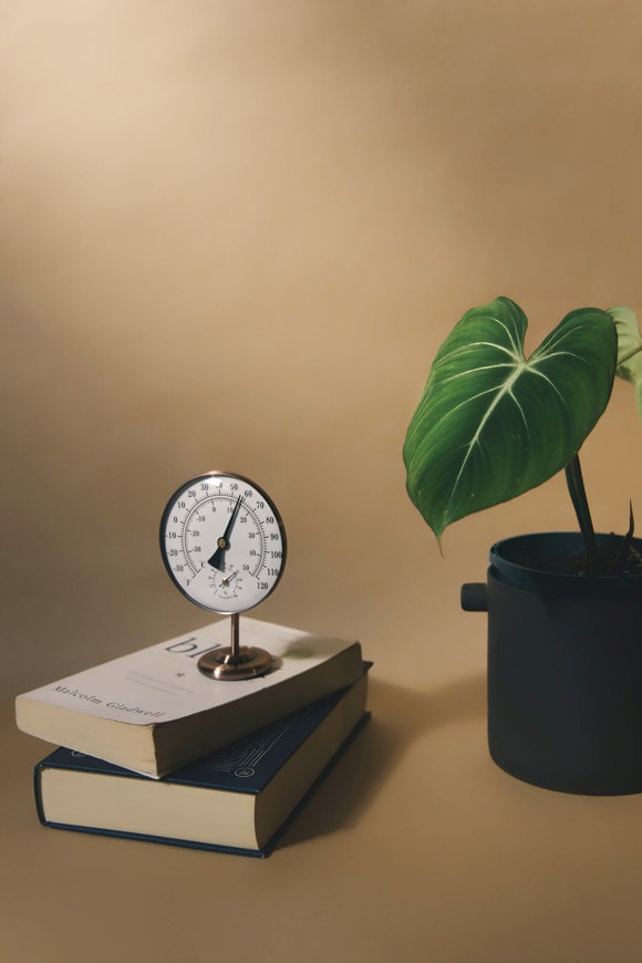 How temperature effects houseplants