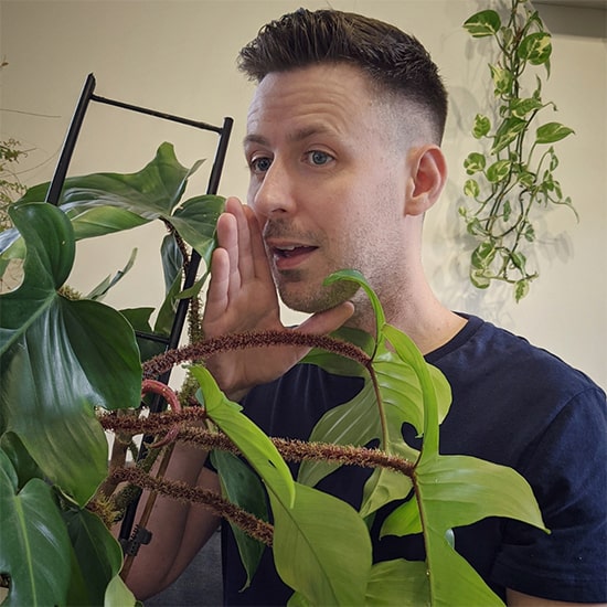 Tom Knight whispering to a philodendron squamiferum