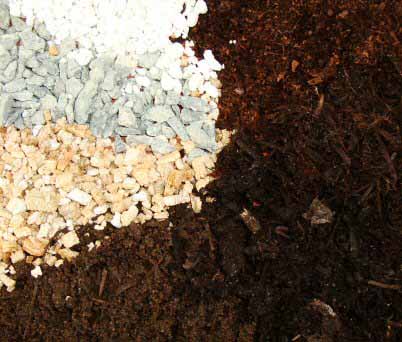 What Type of Peat Moss is Best for Indoor Plants?