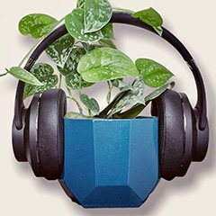 plant with a pair of black headphones attached to a teal planter