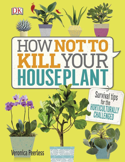 How Not to Kill Your Houseplant