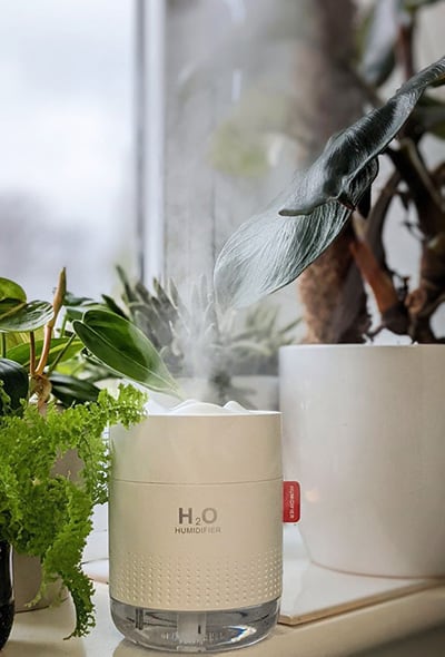 Portable USB humidifier next to a group of houseplants
