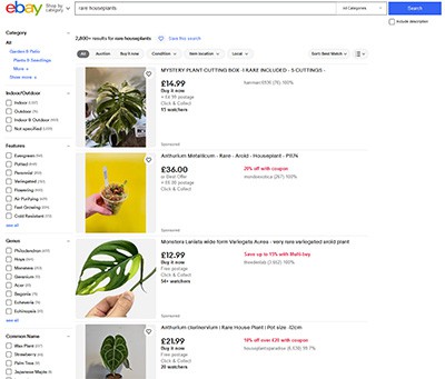 eBay shopfront