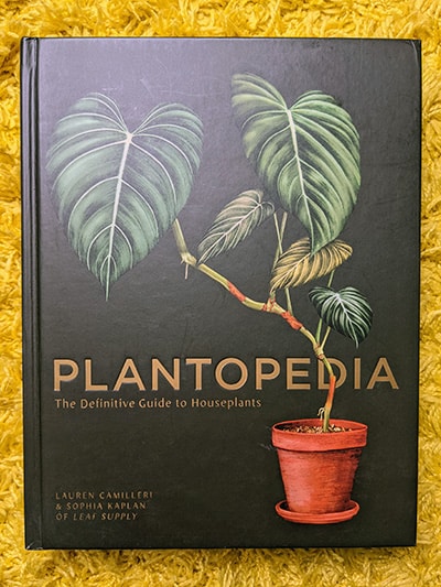 Plantopedia book by Lauren Camilleri and Sophia Kaplan placed on a yellow rug