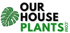 OurHouseplants Logo