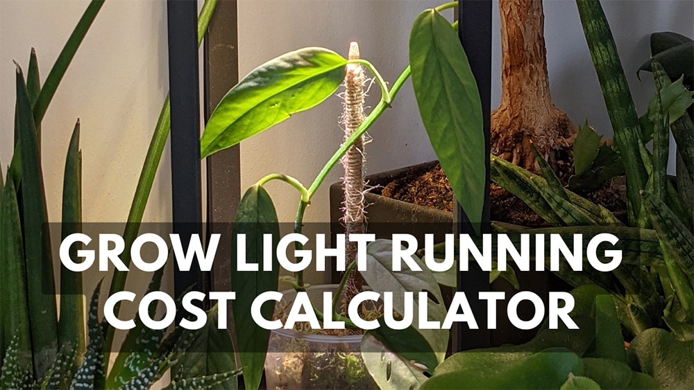 How does Grow Light to run? - OurHouseplants